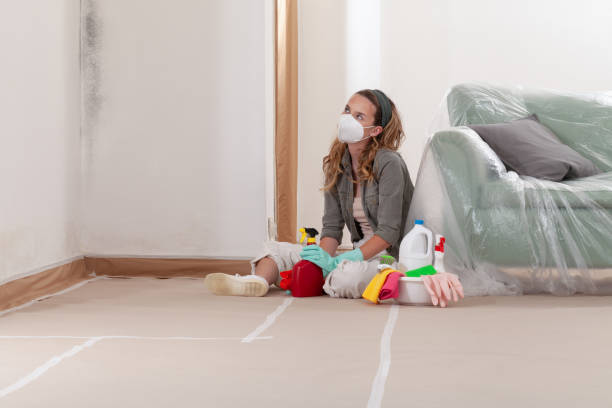Reliable Mold Cleanup contractor in Leland, MI by WQB Mold Removal